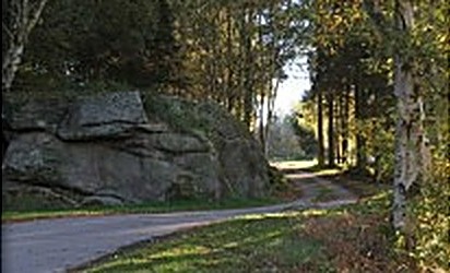Wooded lane through the site