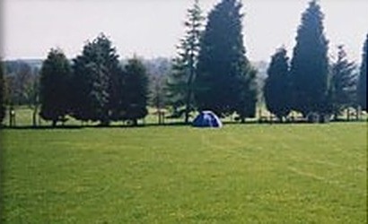 Open camping field with tents pitched at Manor House Farm
