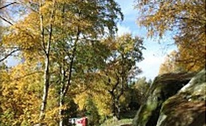 Autumn woodland and rocks